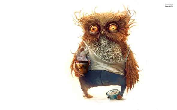 owl-before-morning-coffee-19565-1920x1200